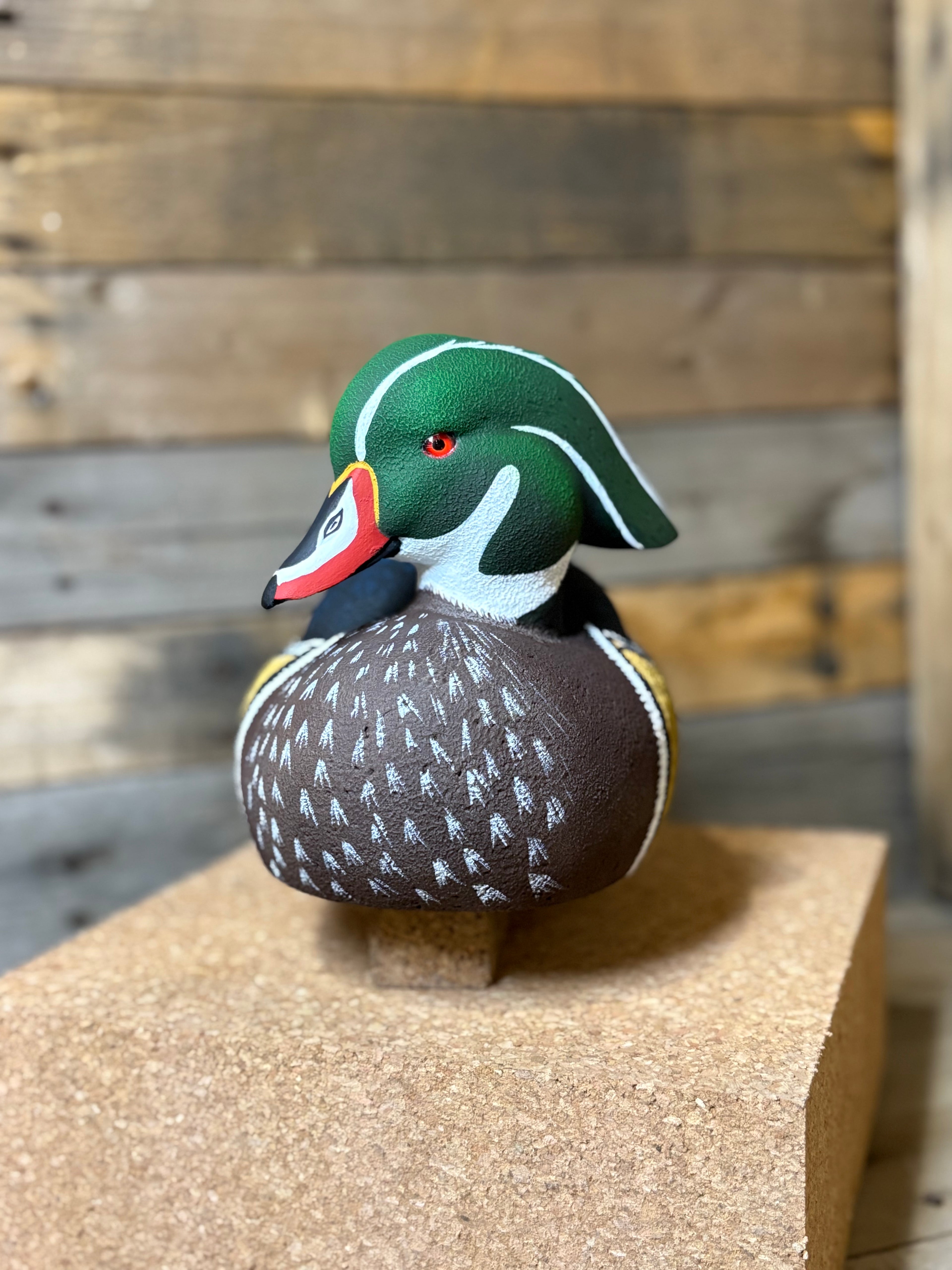 Wood Duck Drake