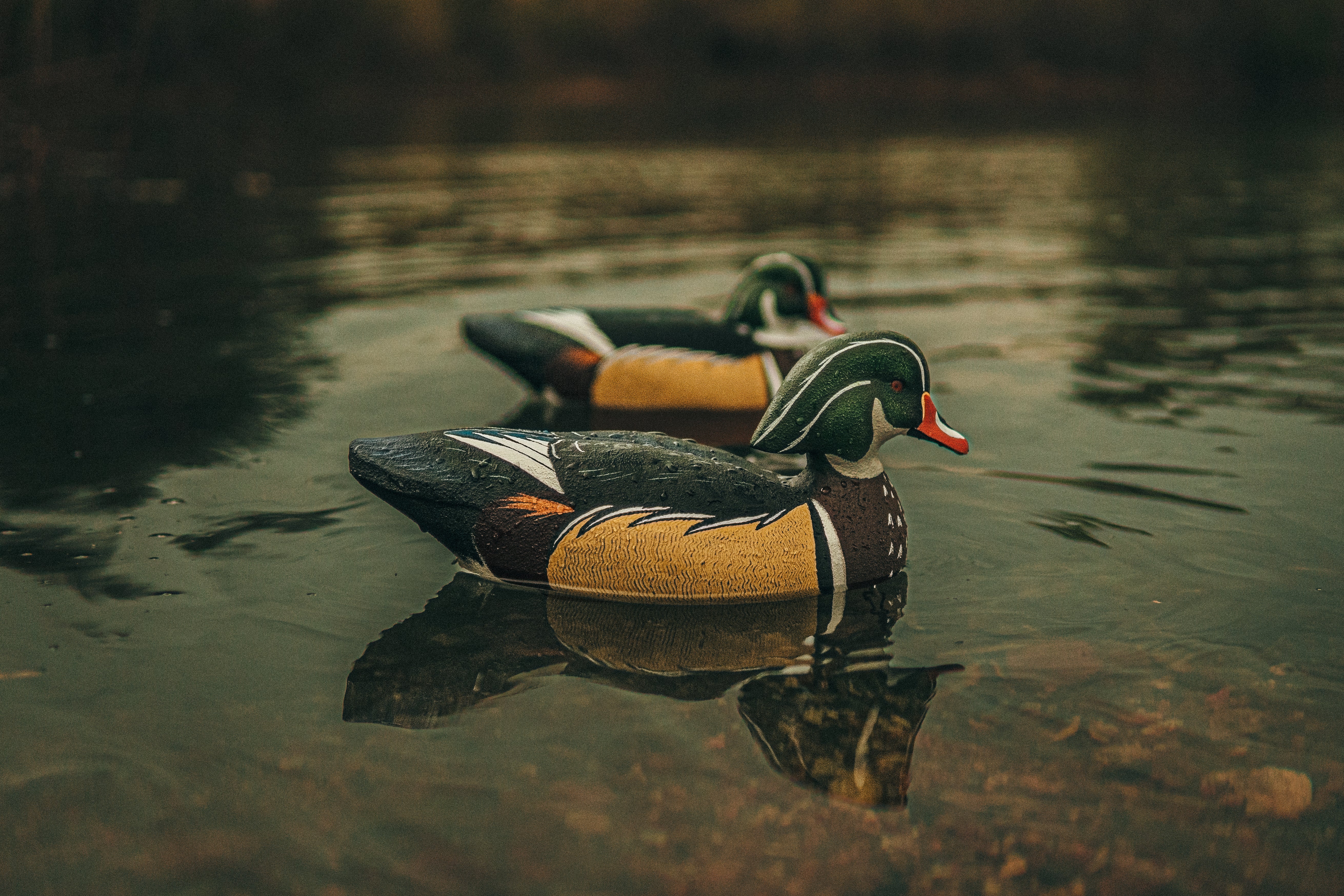 Wood Duck Drake – Marino Decoys