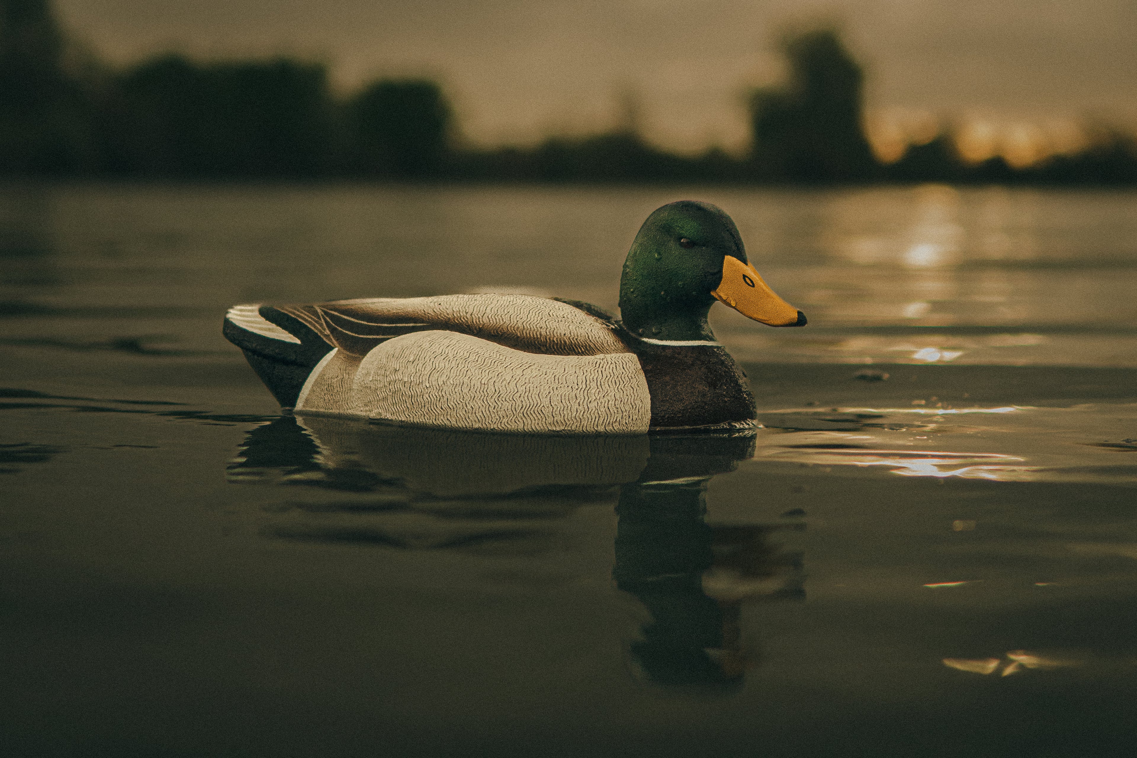 Urn Decoys