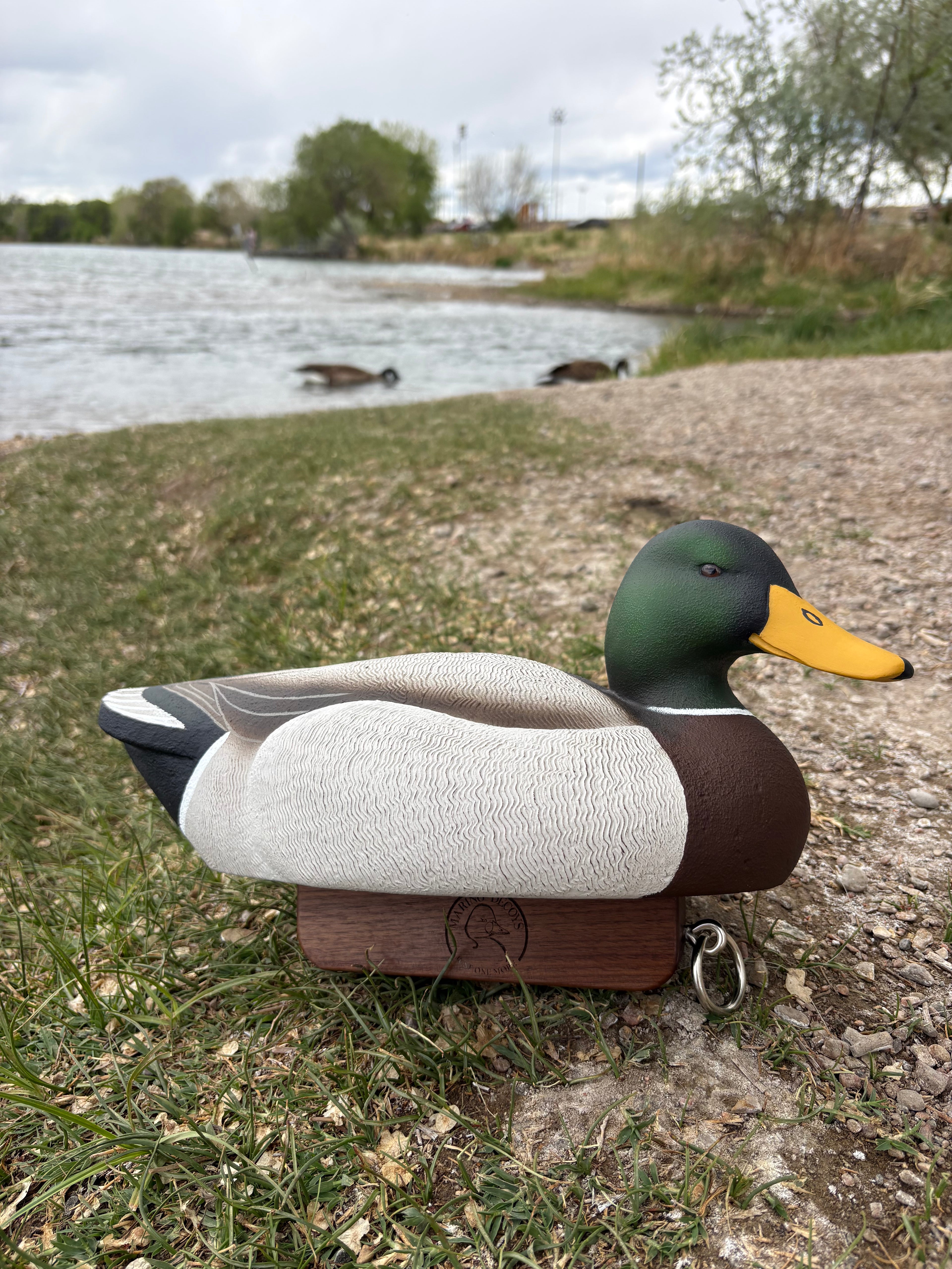 Drake Mallard Working Urn