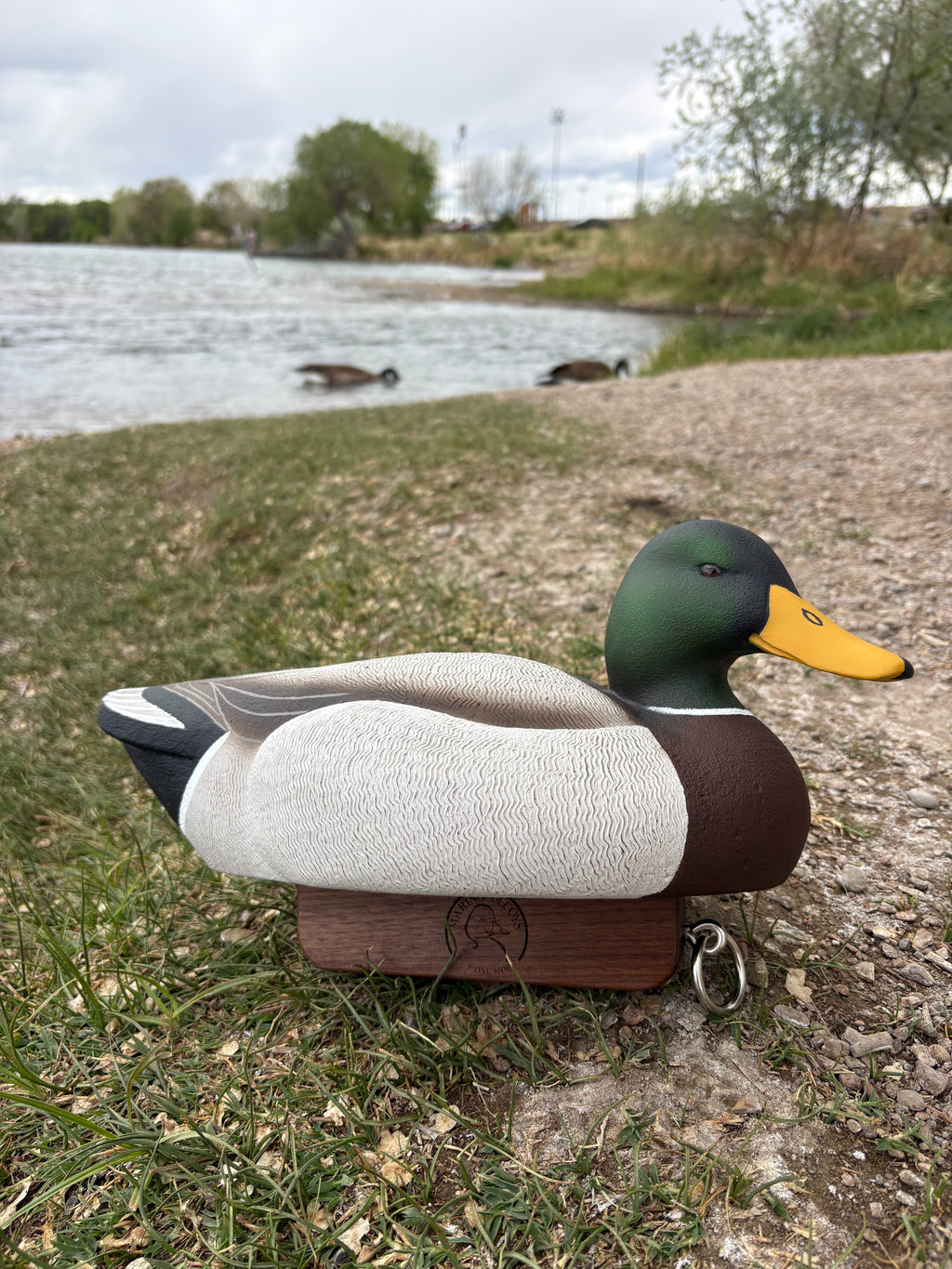 Urn Decoys