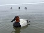 Canvasback Gunner Decoy
