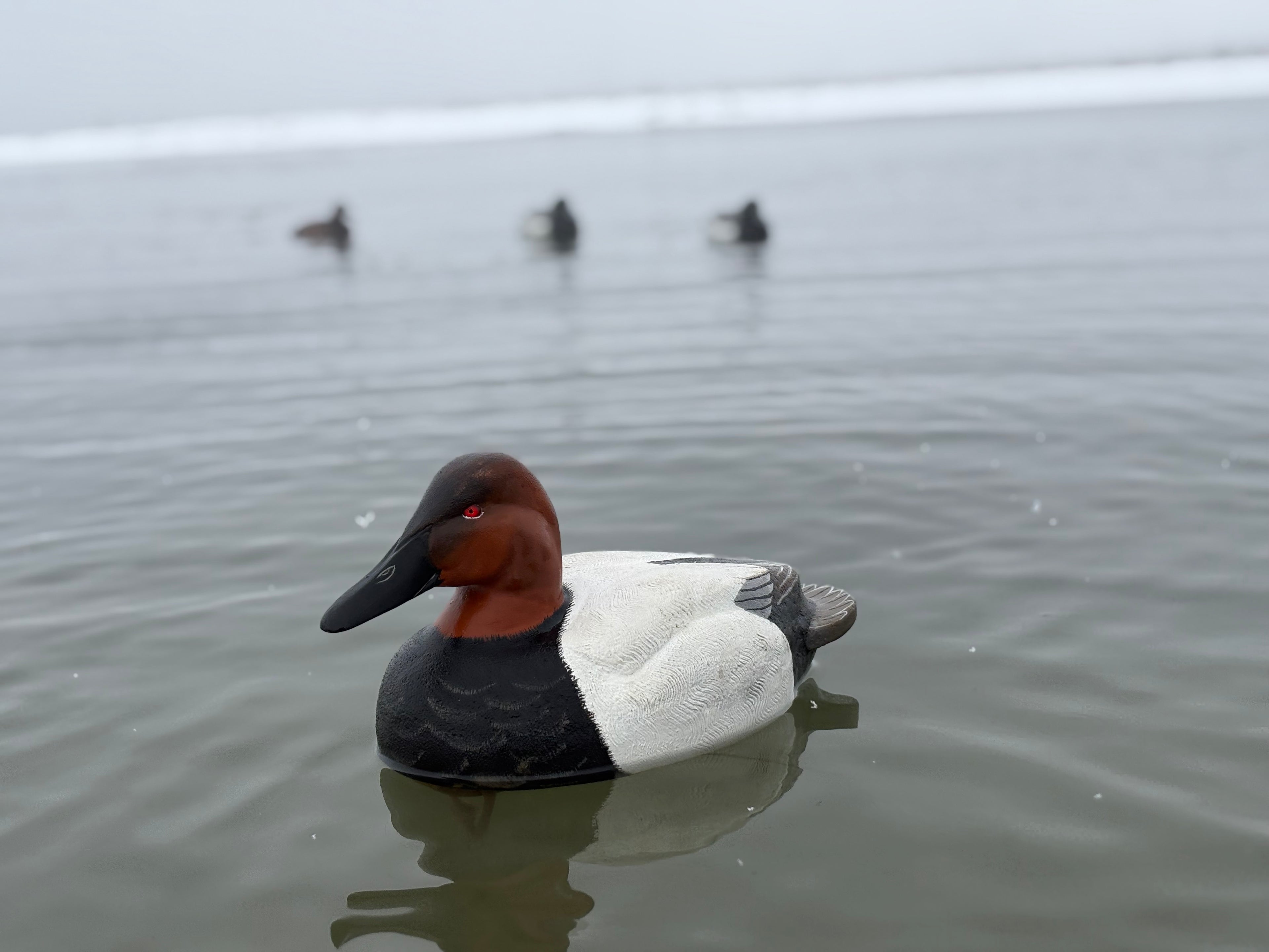 Canvasback Gunner Decoy