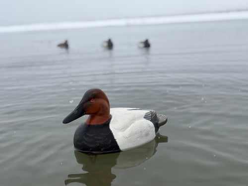 Canvasback Gunner Decoy