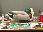 Drake Mallard Gunner Decoy