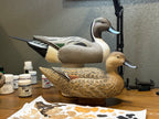 Pintail Urn Decoy