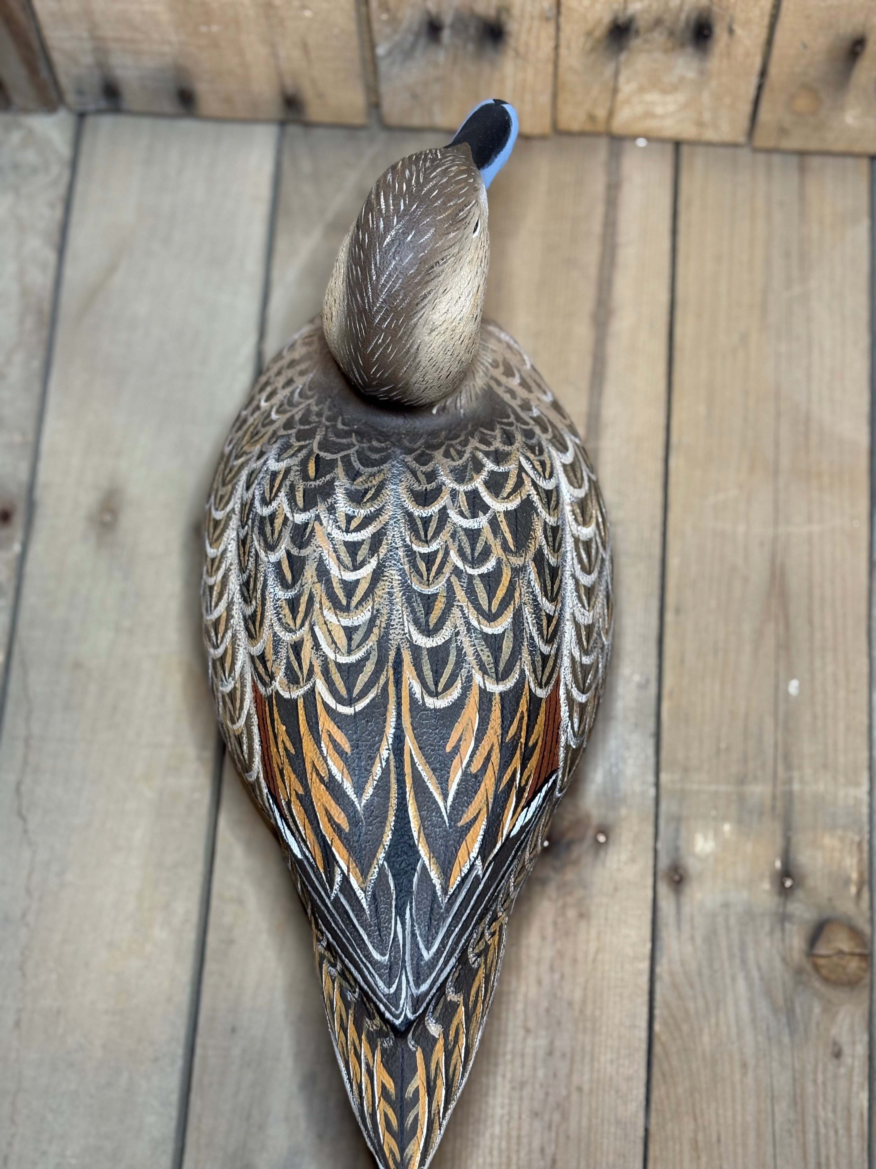 Pintail Urn Decoy
