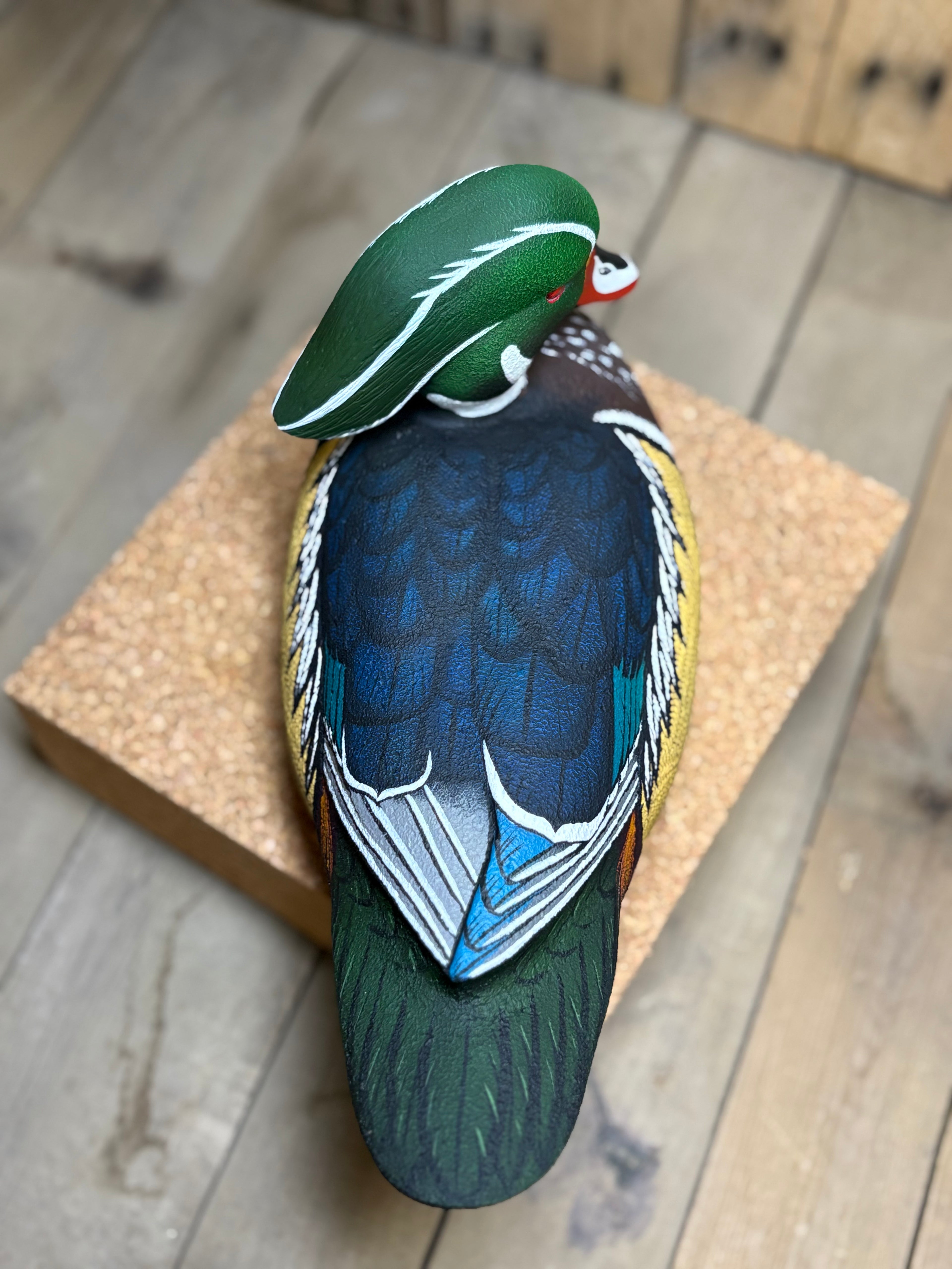 Wood Duck Drake