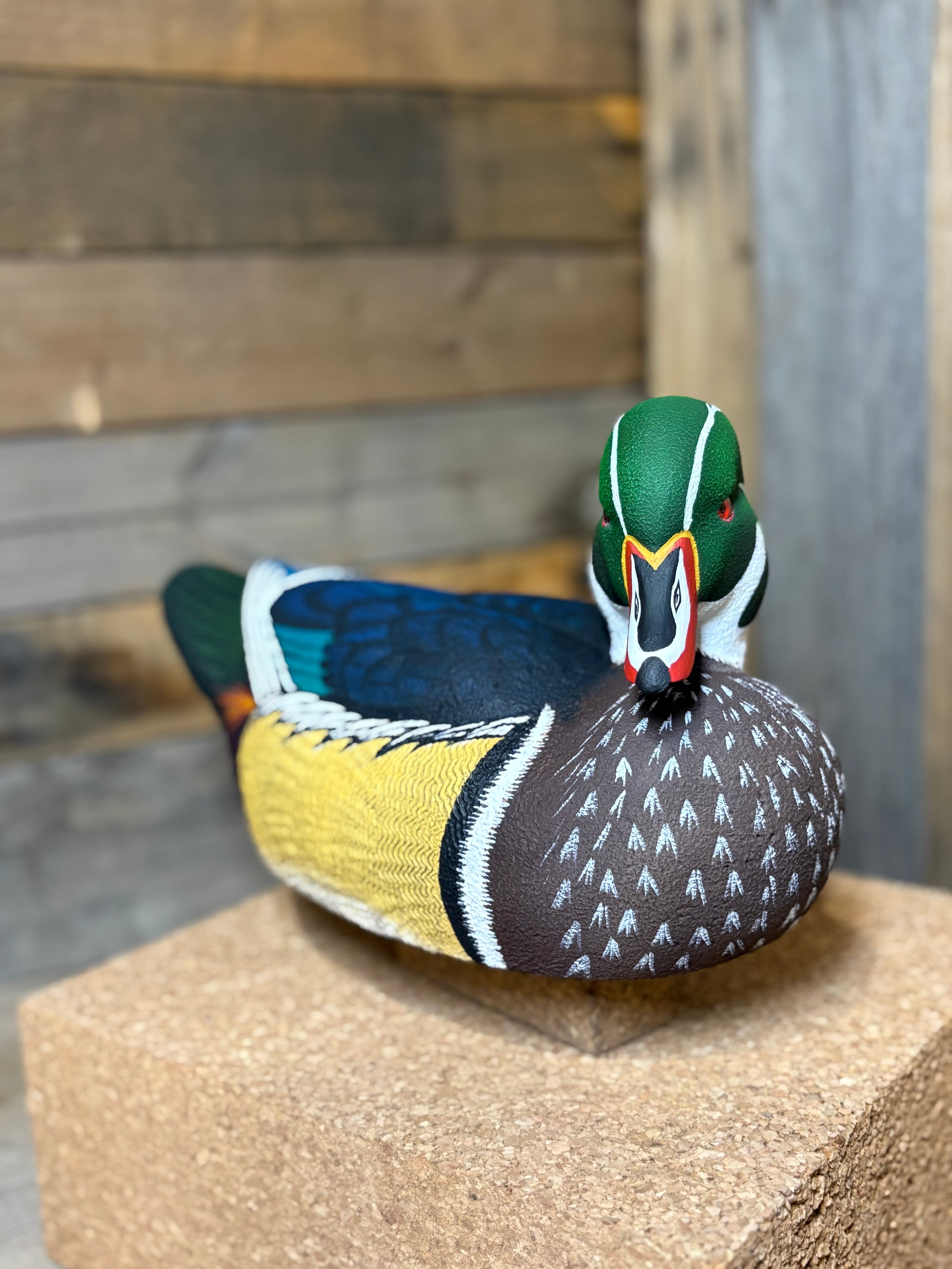 Wood Duck Drake