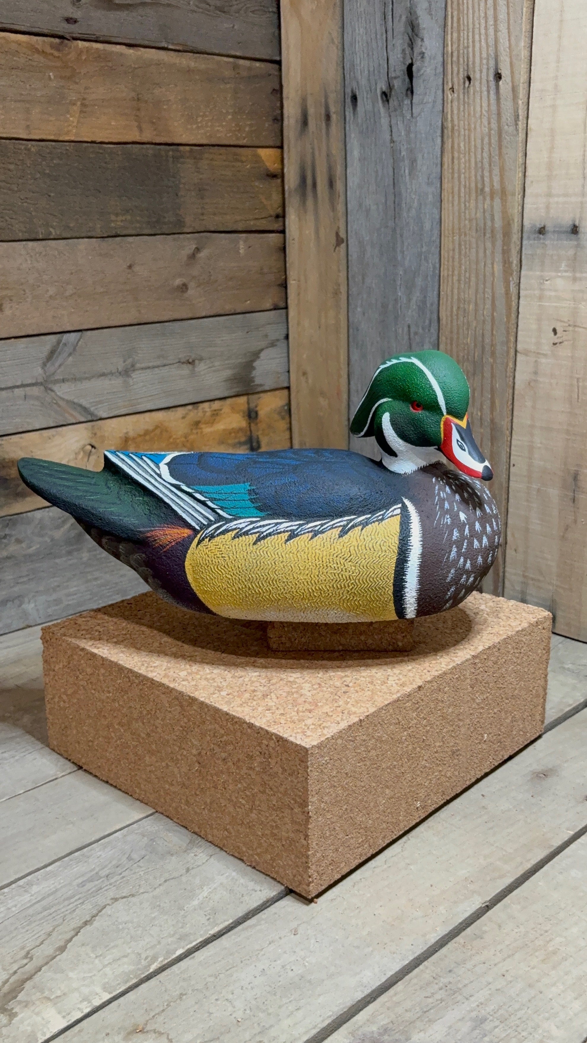 Wood Duck Drake