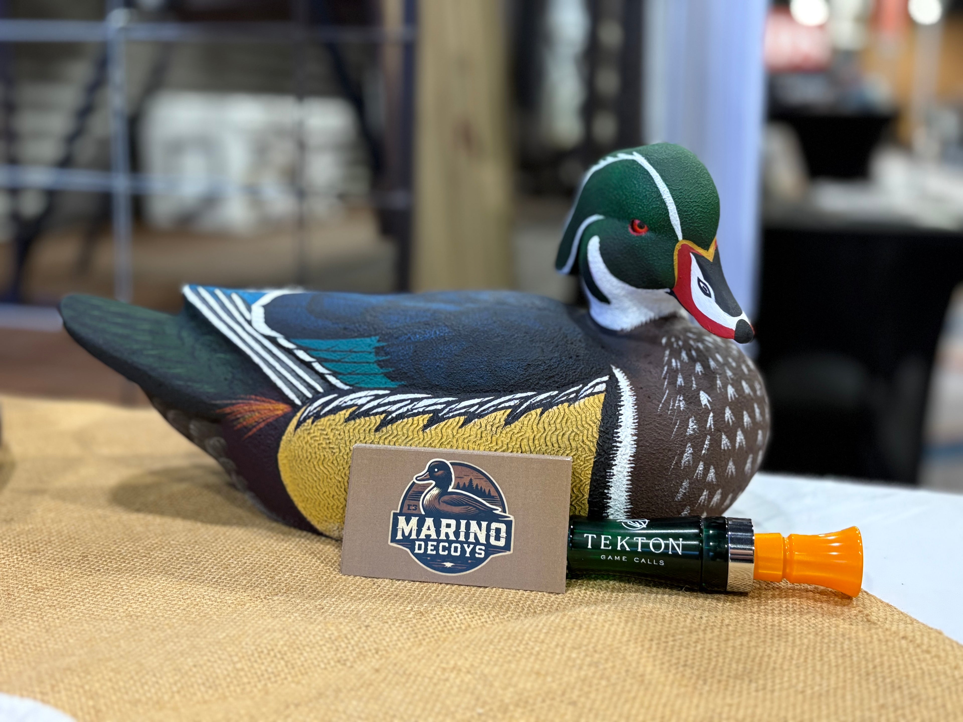Wood Duck Drake