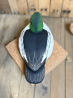 Goldeneye Gunner decoy