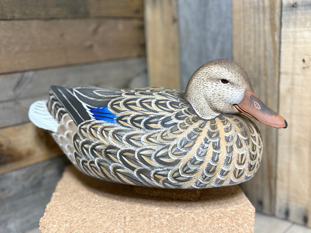 Hen Mallard