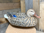 Hen Mallard