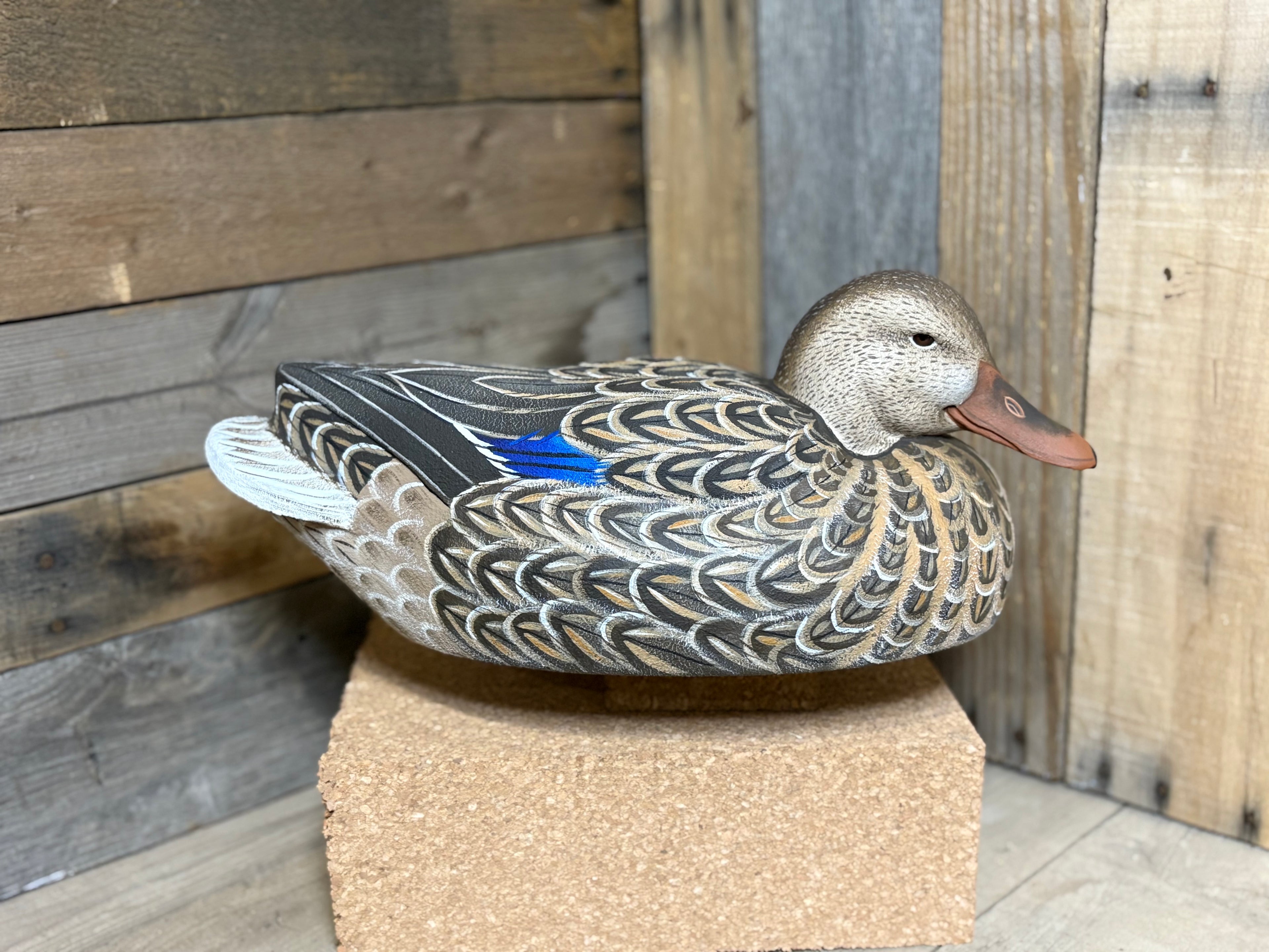 Hen Mallard