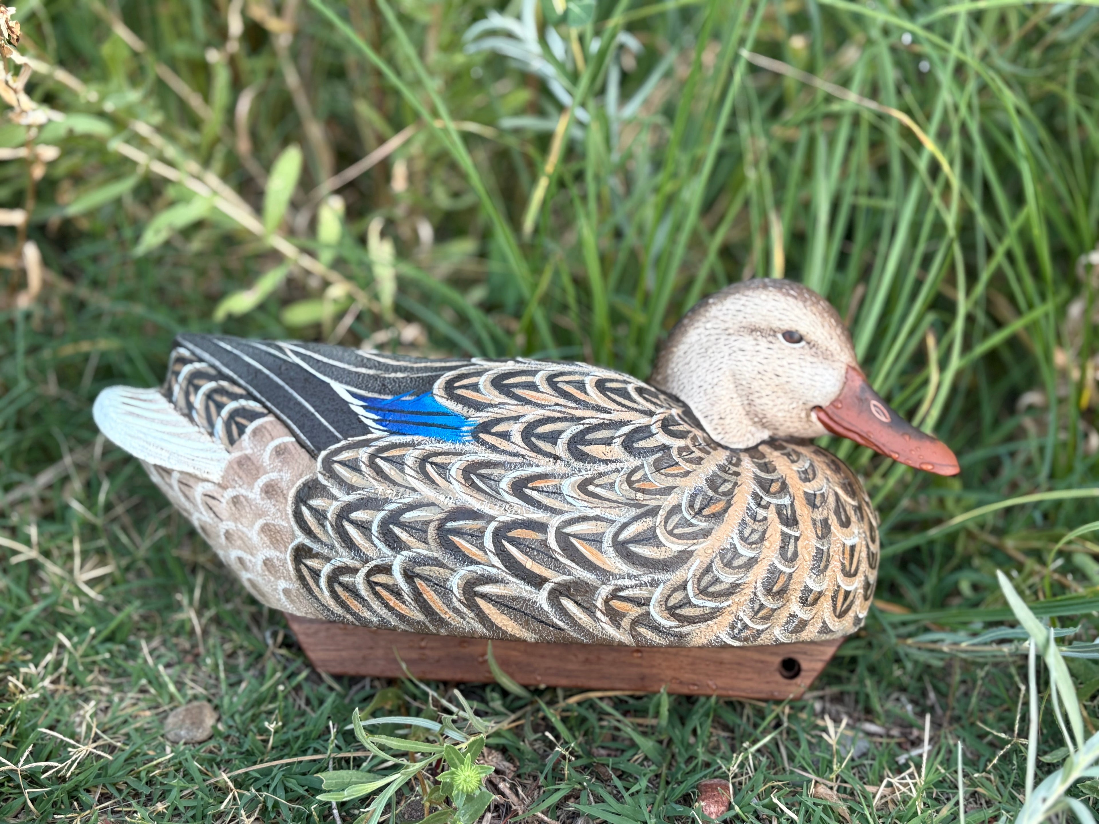 Hen Mallard