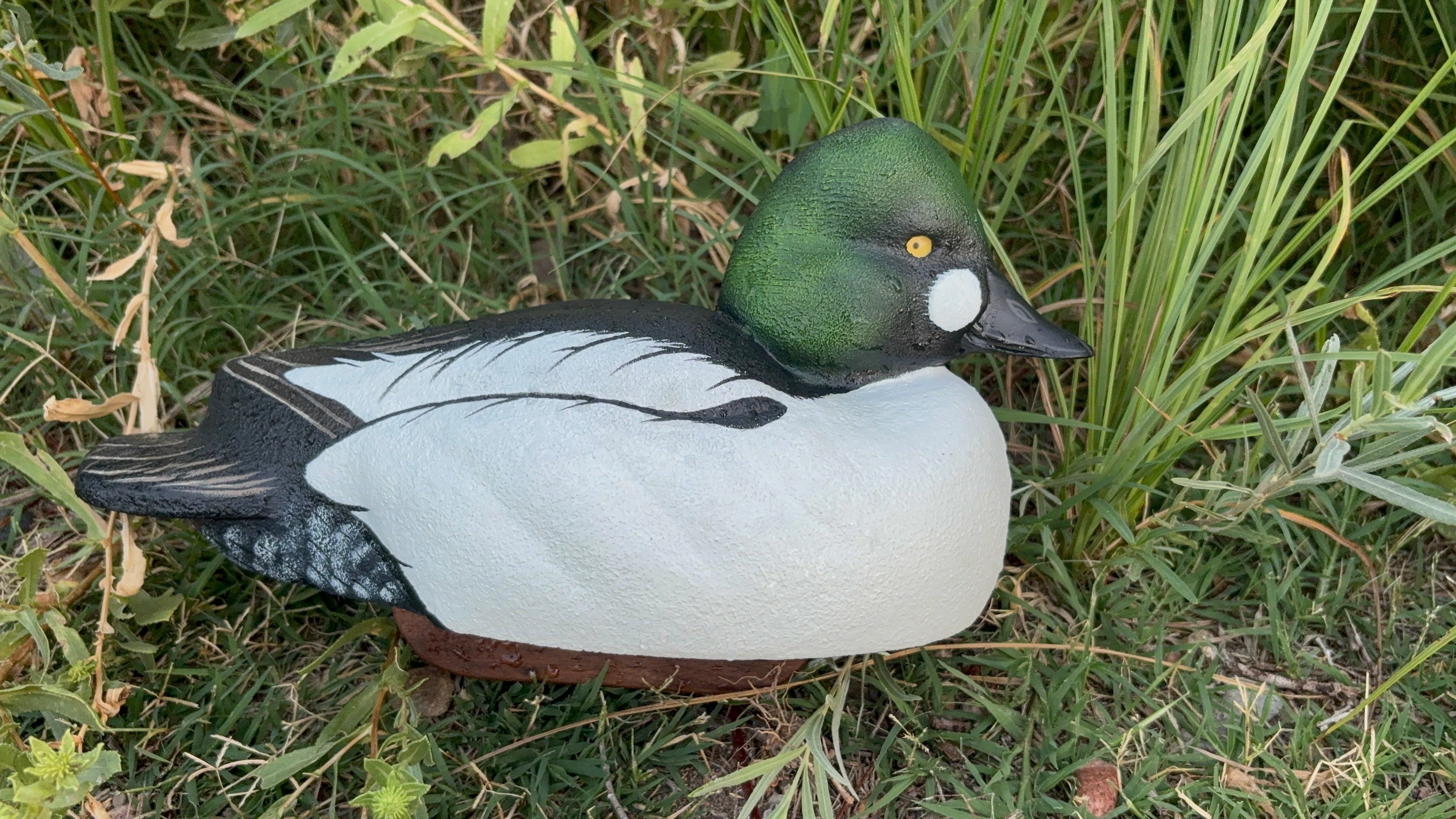 Goldeneye Gunner decoy