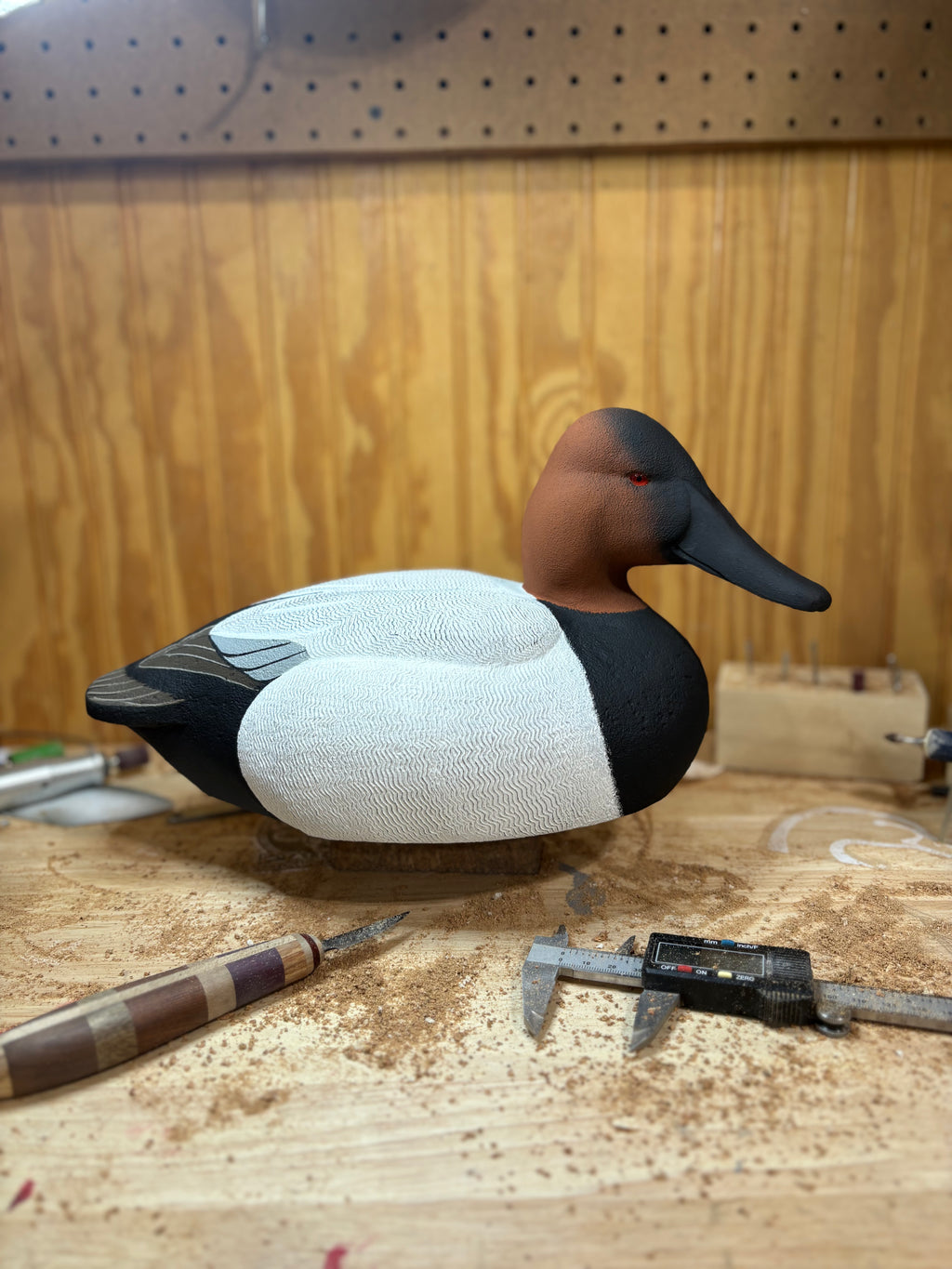 Canvasback Gunner Decoy